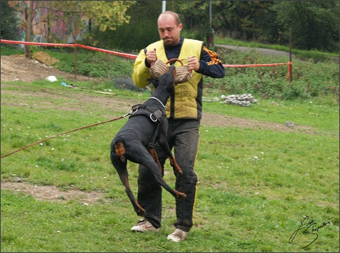 Training in Prague 10/2007